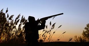 Hunting